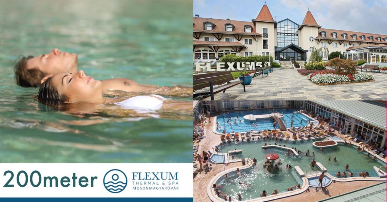 Feszek Fogado - Pension Nest Mosonmagyaróvár Exteriör bild